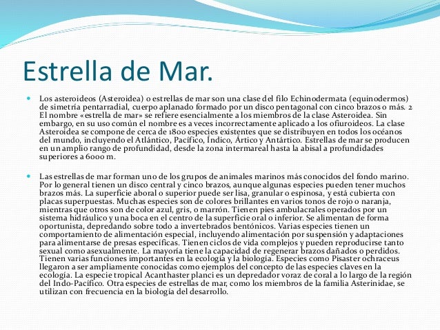 power point tema libreanimales