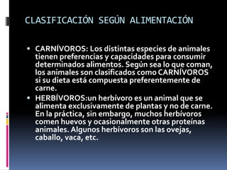 CLASIFICACIÓN SEGÚN ALIMENTACIÓN 
 CARNÍVOROS: Los distintas especies de animales 
tienen preferencias y capacidades para consumir 
determinados alimentos. Según sea lo que coman, 
los animales son clasificados como CARNÍVOROS 
si su dieta está compuesta preferentemente de 
carne. 
 HERBÍVOROS:un herbívoro es un animal que se 
alimenta exclusivamente de plantas y no de carne. 
En la práctica, sin embargo, muchos herbívoros 
comen huevos y ocasionalmente otras proteínas 
animales. Algunos herbívoros son las ovejas, 
caballo, vaca, etc. 
 