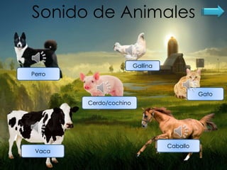 Sonido de Animales
Perro
Gato
Gallina
Cerdo/cochino
Vaca
Caballo
 