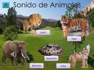 Sonido de Animales
León
Elefante
Tigre
Serpiente
Lobo
 