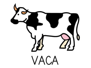 VACA