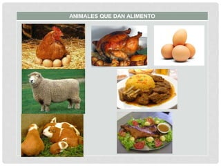 ANIMALES QUE DAN ALIMENTO
 