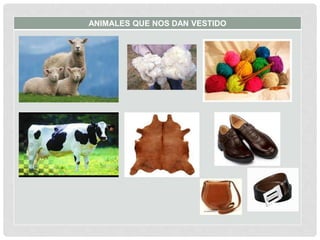 ANIMALES QUE NOS DAN VESTIDO
 