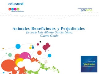 Animales Beneficiosos y Perjudiciales  Escuela Luis Alberto García López Cuarto Grado 