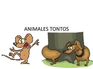ANIMALES TONTOS
 