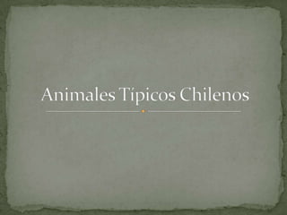 Animales típicos chilenos