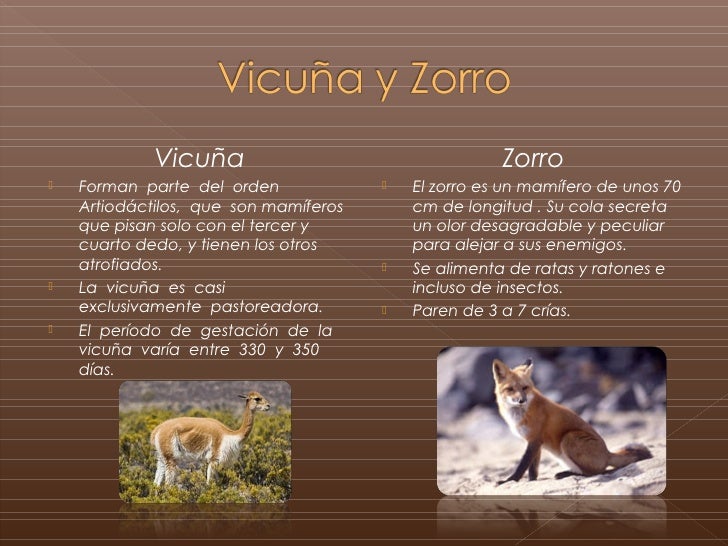 Animales Tipicos De La Sierra