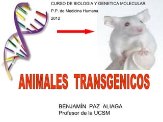 CURSO DE BIOLOGIA Y GENETICA MOLECULAR
P.P. de Medicina Humana
2012




   BENJAMÍN PAZ ALIAGA
   Profesor de la UCSM
 