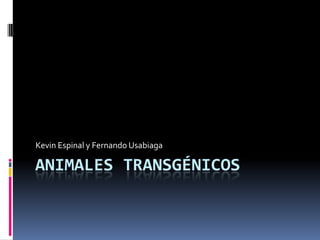 Animales Transgénicos Kevin Espinal y Fernando Usabiaga 