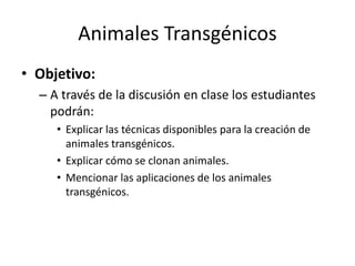 Animales Transgénicos
• Objetivo:
– A través de la discusión en clase los estudiantes
podrán:
• Explicar las técnicas disponibles para la creación de
animales transgénicos.
• Explicar cómo se clonan animales.
• Mencionar las aplicaciones de los animales
transgénicos.
 