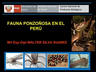 FAUNA PONZOÑOSA EN EL
        PERÚ


MV Esp Dipl WALTER SILVA SUAREZ
 
