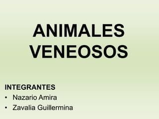 ANIMALES
VENEOSOS
INTEGRANTES
• Nazario Amira
• Zavalia Guillermina
 