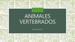 ANIMALES
VERTEBRADOS
VALERIA RINCÓN
 