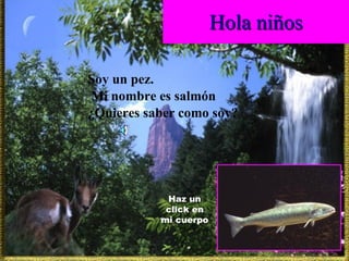 Hola niños Soy un pez. Mi nombre es salmón ¿Quieres saber como soy? Haz un click en mi cuerpo 