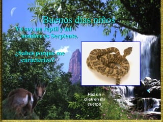 Buenos días niños Yo soy un reptil y mi nombre es Serpiente. ¿Sabes porque me caracterizo? Haz un click en mi cuerpo 