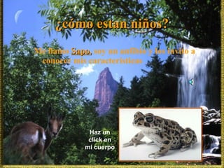 ¿cómo estan niños? Me llamo  Sapo ,  soy un anfibio y los invito a conocer mis características Haz un click en mi cuerpo 