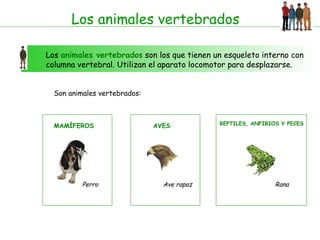 Animales Vertebrados | PPT