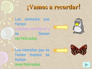 Animales Vertebrados | PPT