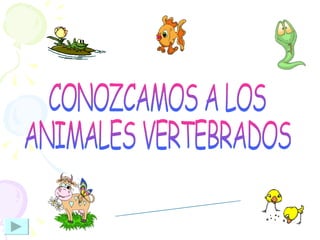 CONOZCAMOS A LOS  ANIMALES VERTEBRADOS Profesora: Katherine León 