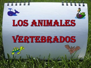 LOS ANIMALES  VERTEBRADOS 