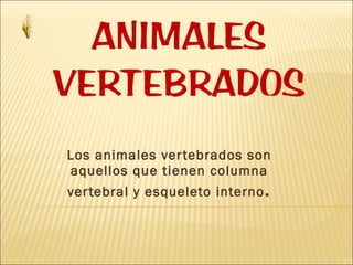 Los animales vertebrados son aquellos que tienen columna vertebral y esqueleto interno . 