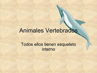 Animales Vertebrados Todos ellos tienen esqueleto interno 