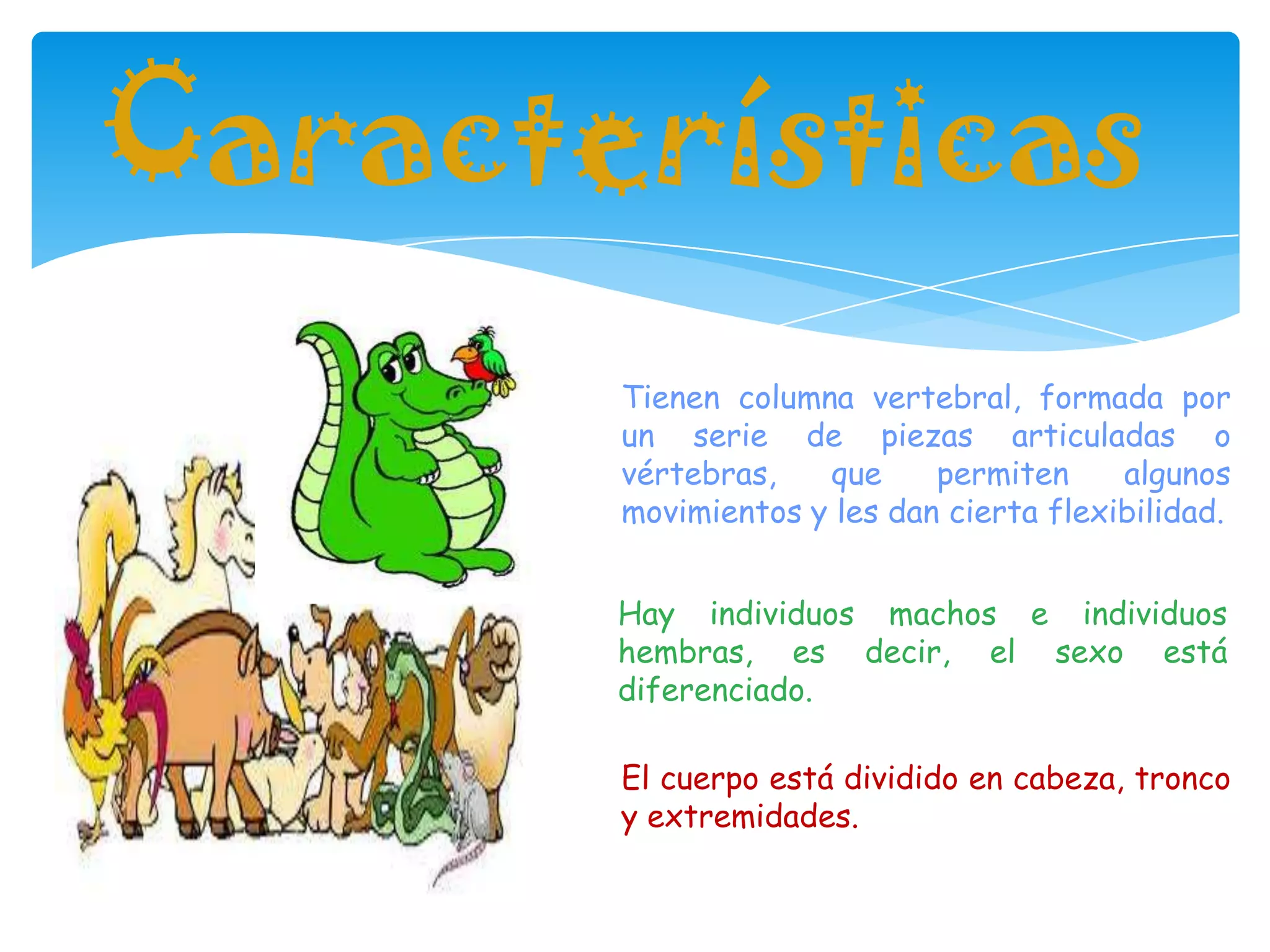 Características
       Tienen columna vertebral, formada por
       un serie de piezas articuladas o
       vértebras,   que     permiten     algunos
       movimientos y les dan cierta flexibilidad.


       Hay individuos machos e individuos
       hembras, es decir, el sexo está
       diferenciado.

       El cuerpo está dividido en cabeza, tronco
       y extremidades.
 