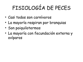 FISIOLOGÍA DE PECES
• Casi todos son carnívoros
• La mayoría respiran por branquias
• Son poiquilotermos
• La mayoría con fecundación externa y
ovíparos
 
