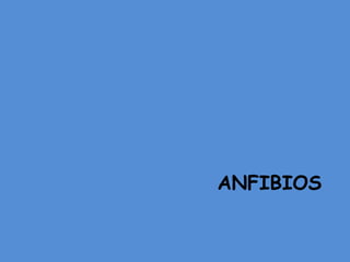 ANFIBIOS
 