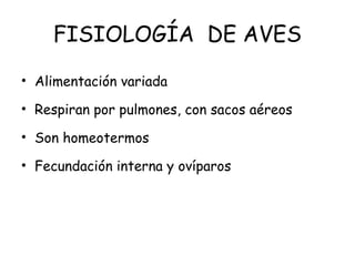 FISIOLOGÍA DE AVES
• Alimentación variada
• Respiran por pulmones, con sacos aéreos
• Son homeotermos
• Fecundación interna y ovíparos
 