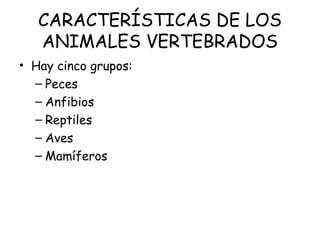 CARACTERÍSTICAS DE LOS
ANIMALES VERTEBRADOS
• Hay cinco grupos:
– Peces
– Anfibios
– Reptiles
– Aves
– Mamíferos
 