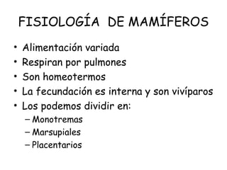 FISIOLOGÍA DE MAMÍFEROS
• Alimentación variada
• Respiran por pulmones
• Son homeotermos
• La fecundación es interna y son vivíparos
• Los podemos dividir en:
– Monotremas
– Marsupiales
– Placentarios
 