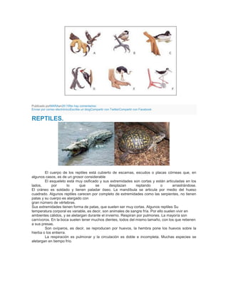 Publicado porMARAen20:15No hay comentarios:
Enviar por correo electrónicoEscribe un blogCompartir con TwitterCompartir con Facebook
REPTILES.
El cuerpo de los reptiles está cubierto de escamas, escudos o placas córneas que, en
algunos casos, es de un grosor considerable
El esqueleto está muy osificado y sus extremidades son cortas y están articuladas en los
lados, por lo que se desplazan reptando o arrastrándose.
El cráneo es soldado y tienen paladar óseo. La mandíbula se articula por medio del hueso
cuadrado. Algunos reptiles carecen por completo de extremidades como las serpientes, no tienen
patas y su cuerpo es alargado con
gran número de vértebras.
Sus extremidades tienen forma de patas, que suelen ser muy cortas. Algunos reptiles Su
temperatura corporal es variable, es decir, son animales de sangre fría. Por ello suelen vivir en
ambientes cálidos, y se aletargan durante el invierno. Respiran por pulmones. La mayoría son
carnívoros. En la boca suelen tener muchos dientes, todos del mismo tamaño, con los que retienen
a sus presas.
Son ovíparos, es decir, se reproducen por huevos, la hembra pone los huevos sobre la
hierba o los entierra.
La respiración es pulmonar y la circulación es doble e incompleta. Muchas especies se
aletargan en tiempo frío.
 