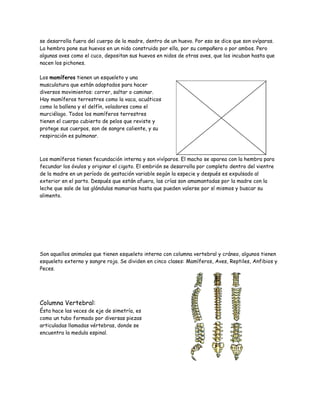 se desarrolla fuera del cuerpo de la madre, dentro de un huevo. Por eso se dice que son ovíparas.
La hembra pone sus huevos en un nido construido por ella, por su compañero o por ambos. Pero
algunas aves como el cuco, depositan sus huevos en nidos de otras aves, que los incuban hasta que
nacen los pichones.
Los mamíferos tienen un esqueleto y una
musculatura que están adaptados para hacer
diversos movimientos: correr, saltar o caminar.
Hay mamíferos terrestres como la vaca, acuáticos
como la ballena y el delfín, voladores como el
murciélago. Todos los mamíferos terrestres
tienen el cuerpo cubierto de pelos que reviste y
protege sus cuerpos, son de sangre caliente, y su
respiración es pulmonar.
Los mamíferos tienen fecundación interna y son vivíparos. El macho se aparea con la hembra para
fecundar los óvulos y originar el cigoto. El embrión se desarrolla por completo dentro del vientre
de la madre en un período de gestación variable según la especie y después es expulsado al
exterior en el parto. Después que están afuera, las crías son amamantadas por la madre con la
leche que sale de las glándulas mamarias hasta que pueden valerse por sí mismos y buscar su
alimento.
Son aquellos animales que tienen esqueleto interno con columna vertebral y cráneo, algunos tienen
esqueleto externo y sangre roja. Se dividen en cinco clases: Mamíferos, Aves, Reptiles, Anfibios y
Peces.
Columna Vertebral:
Ésta hace las veces de eje de simetría, es
como un tubo formado por diversas piezas
articuladas llamadas vértebras, donde se
encuentra la medula espinal.
 