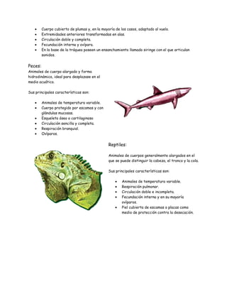 Cuerpo cubierto de plumas y, en la mayoría de los casos, adaptado al vuelo.
Extremidades anteriores transformadas en alas.
Circulación doble y completa.
Fecundación interna y ovípara.
En la base de la tráquea poseen un ensanchamiento llamado siringe con el que articulan
sonidos.
Peces:
Animales de cuerpo alargado y forma
hidrodinámica, ideal para desplazase en el
medio acuático.
Sus principales características son:
Animales de temperatura variable.
Cuerpo protegido por escamas y con
glándulas mucosas.
Esqueleto óseo o cartilaginoso
Circulación sencilla y completa.
Respiración branquial.
Ovíparos.
Reptiles:
Animales de cuerpos generalmente alargados en el
que se puede distinguir la cabeza, el tronco y la cola.
Sus principales características son:
Animales de temperatura variable.
Respiración pulmonar.
Circulación doble e incompleta.
Fecundación interna y en su mayoría
ovíparos.
Piel cubierta de escamas o placas como
medio de protección contra la desecación.
 