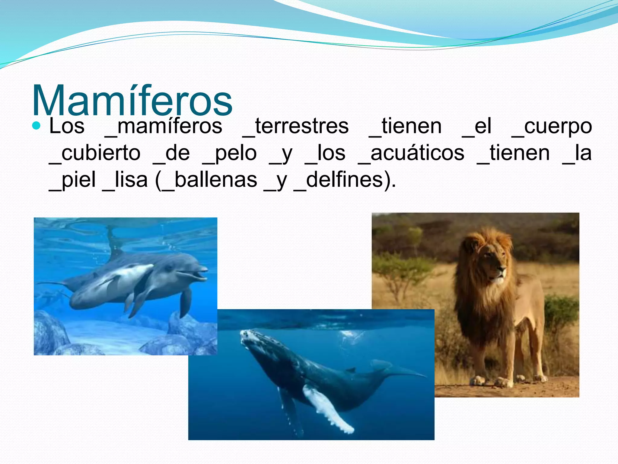 Mamíferos Los _mamíferos _terrestres _tienen _el _cuerpo
_cubierto _de _pelo _y _los _acuáticos _tienen _la
_piel _lisa (_ballenas _y _delfines).