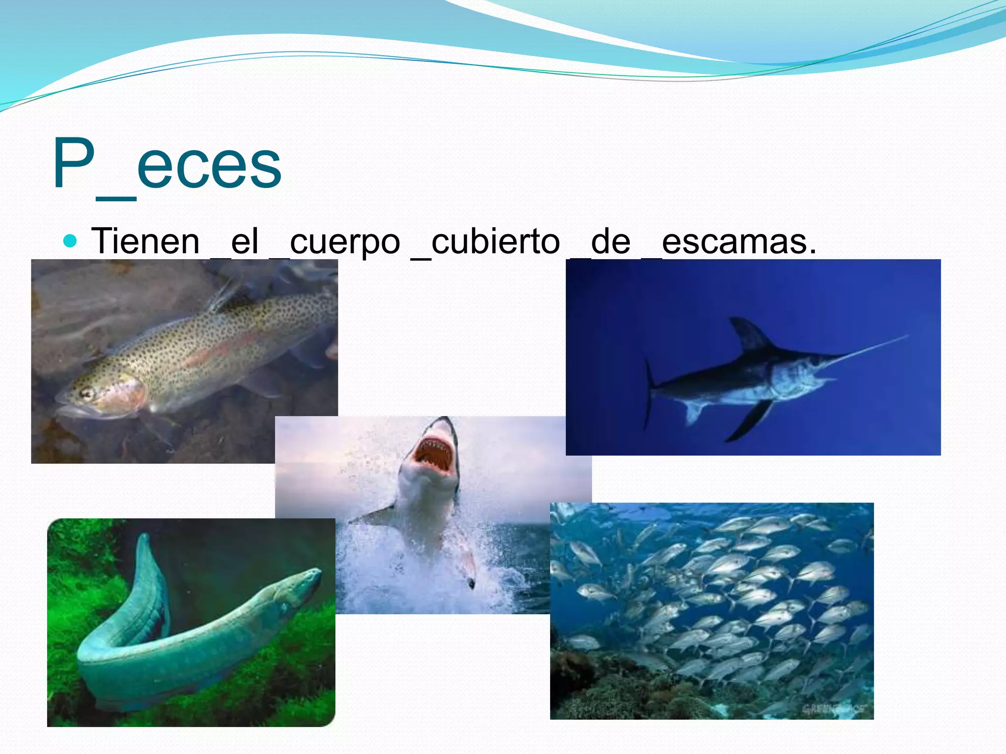 P_eces
Tienen _el _cuerpo _cubierto _de _escamas.
