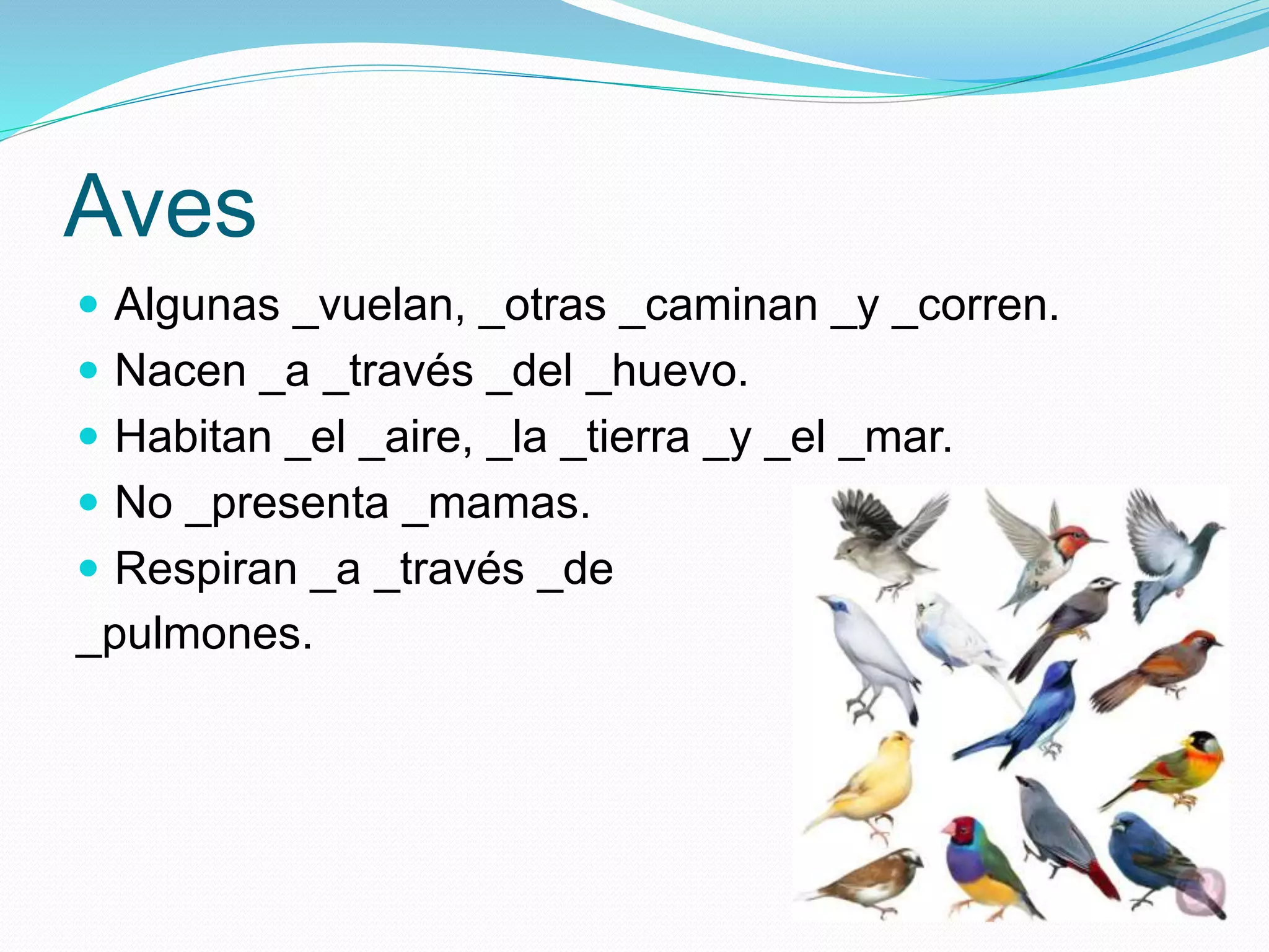 Aves
Algunas _vuelan, _otras _caminan _y _corren.
Nacen _a _través _del _huevo.
Habitan _el _aire, _la _tierra _y _el _mar.
No _presenta _mamas.
Respiran _a _través _de
_pulmones.