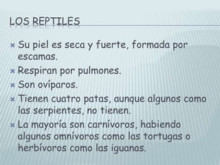 LOS REPTILES
 Su piel es seca y fuerte, formada por
escamas.
 Respiran por pulmones.
 Son ovíparos.
 Tienen cuatro patas, aunque algunos como
las serpientes, no tienen.
 La mayoría son carnívoros, habiendo
algunos omnívoros como las tortugas o
herbívoros como las iguanas.
 