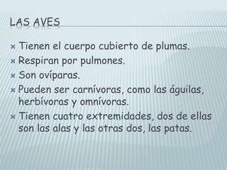 LAS AVES
 Tienen el cuerpo cubierto de plumas.
 Respiran por pulmones.
 Son ovíparas.
 Pueden ser carnívoras, como las águilas,
herbívoras y omnívoras.
 Tienen cuatro extremidades, dos de ellas
son las alas y las otras dos, las patas.
 