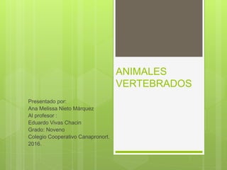 ANIMALES
VERTEBRADOS
Presentado por:
Ana Melissa Nieto Márquez
Al profesor :
Eduardo Vivas Chacin
Grado: Noveno
Colegio Cooperativo Canapronort.
2016.
 