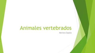 Animales vertebrados
Mariana Zapata
 