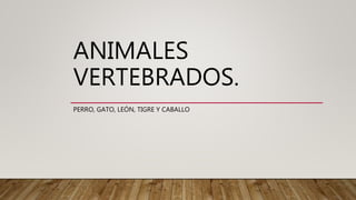 ANIMALES
VERTEBRADOS.
PERRO, GATO, LEÓN, TIGRE Y CABALLO
 