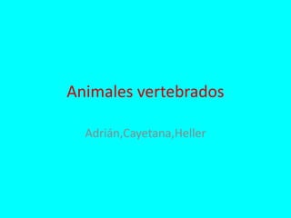 Animales vertebrados
Adrián,Cayetana,Heller
 