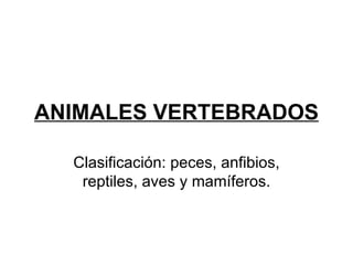 ANIMALES VERTEBRADOS Clasificación: peces, anfibios, reptiles, aves y mamíferos. 