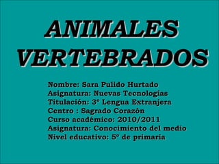 ANIMALESANIMALES
VERTEBRADOSVERTEBRADOS
Nombre: Sara Pulido HurtadoNombre: Sara Pulido Hurtado
Asignatura: Nuevas TecnologíasAsignatura: Nuevas Tecnologías
Titulación: 3º Lengua ExtranjeraTitulación: 3º Lengua Extranjera
Centro : Sagrado CorazónCentro : Sagrado Corazón
Curso académico: 2010/2011Curso académico: 2010/2011
Asignatura: Conocimiento del medioAsignatura: Conocimiento del medio
Nivel educativo: 5º de primariaNivel educativo: 5º de primaria
 