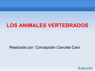 Animales vertebrados 1