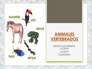 ANIMALES
VERTEBRADOS
SERGIO SALOBREÑA
LUCENA
LUCENA
CÓRDOBA
 
