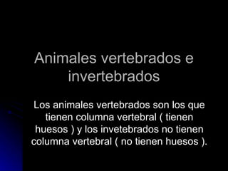 Animales vertebrados e invertebrados Los animales vertebrados son los que tienen columna vertebral ( tienen huesos ) y los invetebrados no tienen columna vertebral ( no tienen huesos ). 