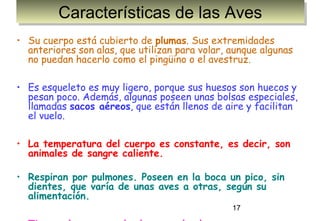 Características de las Aves
         Características de las Aves
• Su cuerpo está cubierto de plumas. Sus extremidades
  anteriores son alas, que utilizan para volar, aunque algunas
  no puedan hacerlo como el pingüino o el avestruz.

• Es esqueleto es muy ligero, porque sus huesos son huecos y
  pesan poco. Además, algunas poseen unas bolsas especiales,
  llamadas sacos aéreos, que están llenos de aire y facilitan
  el vuelo.

• La temperatura del cuerpo es constante, es decir, son
  animales de sangre caliente.

• Respiran por pulmones. Poseen en la boca un pico, sin
  dientes, que varía de unas aves a otras, según su
  alimentación.
                                                17
 